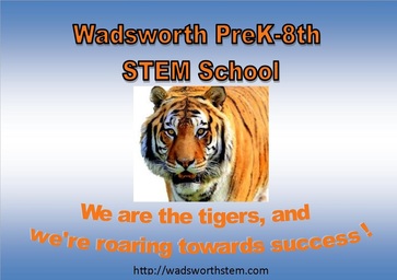 We are the tigers roaring towards success!